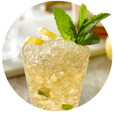 Champagne Mint Julep Cocktail Recipe