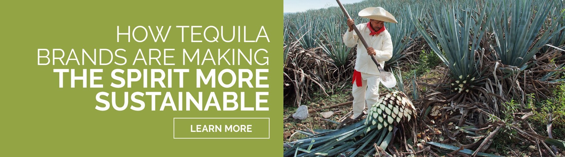 Learn More and Shop Tequila