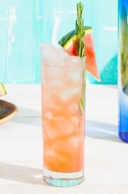 Agave Spiked Spritzer