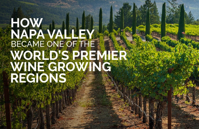 How Napa Became One of The World's Premier Wine Growing Regions