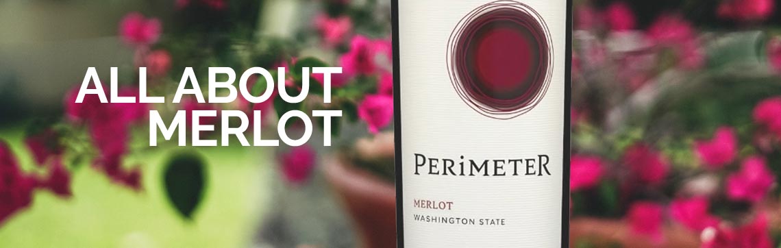 All about Merlot