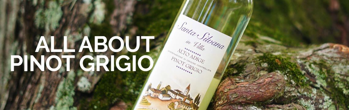 All about Pinot Grigio