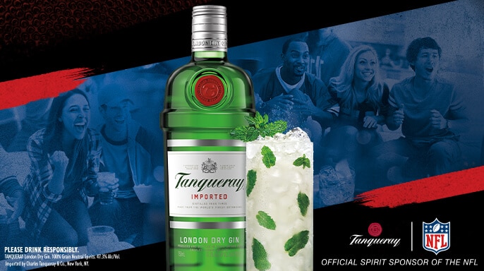 Tanqueray London Dry Gin Southside Fizz