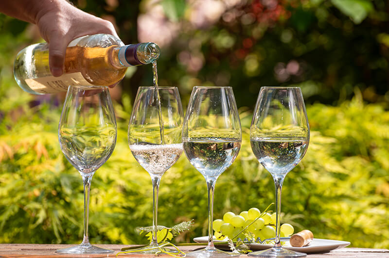 A pale yellow Pinot Grigio being poured into proper white-wine glasses.