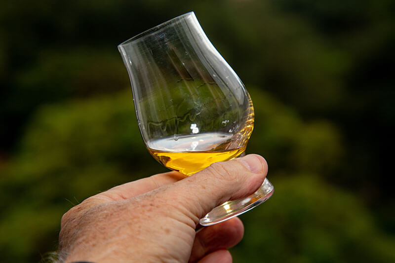 Japanese Whisky in a Glencairn glass