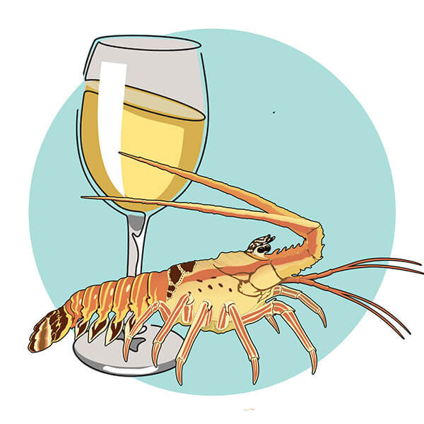 Illustration of Spiny Lobster & Hayes Ranch Chardonnay